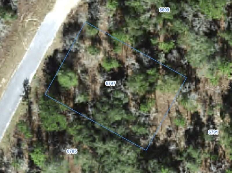 6797 N Waterfall Ter., Citrus Springs, FL 34434