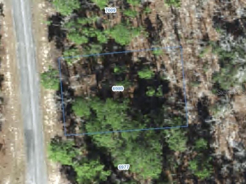 6989 N Foxdale Dr., Citrus Springs, FL 34434