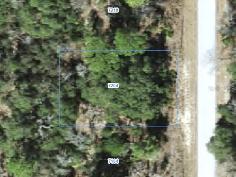 7204 N Ripley Dr., Citrus Springs, FL 34433
