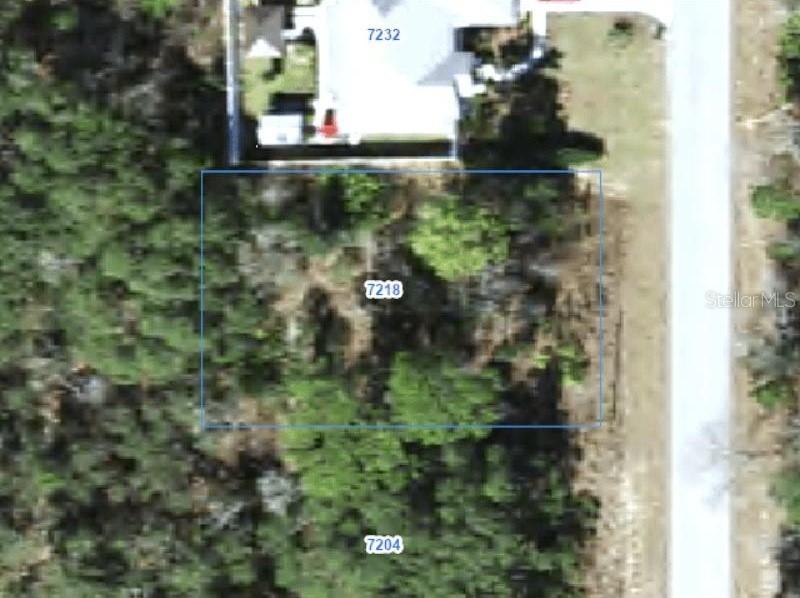 7218 N Ripley Dr., Citrus Springs, FL 34433