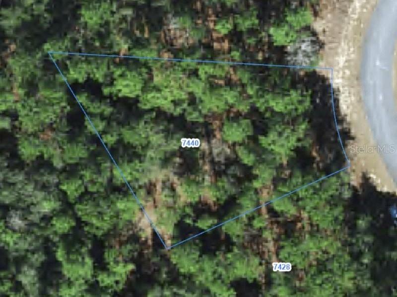 7440 N Sugarberry Dr., Citrus Springs, FL 34434