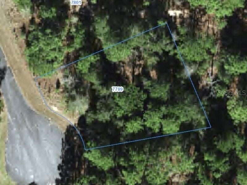 7789 N Wanda Point, Citrus Springs, FL 34434