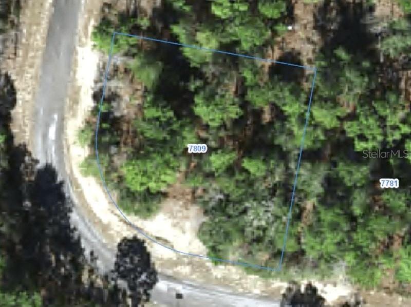 7809 N Ibsen Dr., Citrus Springs, FL 34433