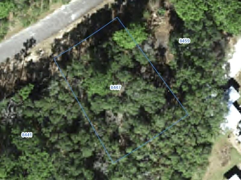 8447 N Tempest Dr., Citrus Springs, FL 34433