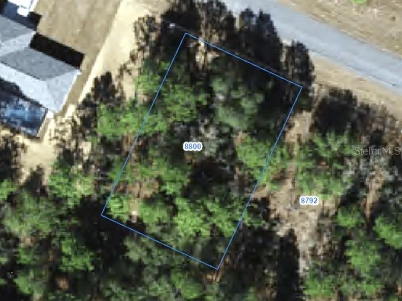 8800 N Paradisea Dr., Citrus Springs, FL 34433