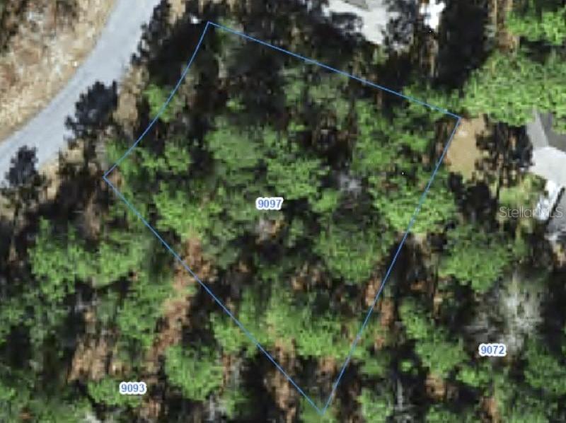 9097 N Saponaria Dr., Citrus Springs, FL 34433