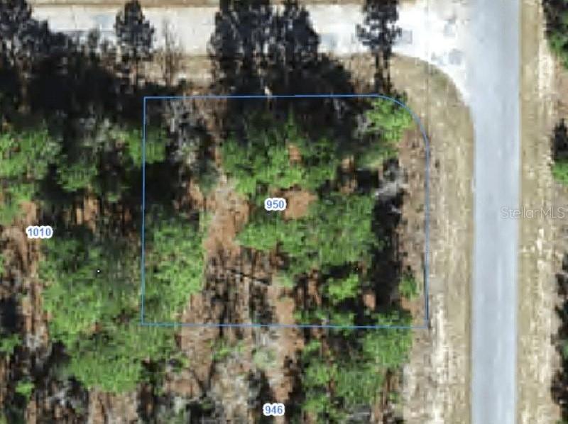950 W Cary Dr., Citrus Springs, FL 34434