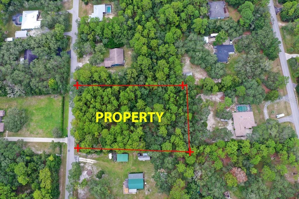 2659 S Bolton Ave., Homosassa, FL 34448