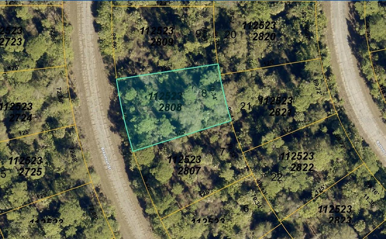 1125232808 Breadnut St., North Port, FL 34288