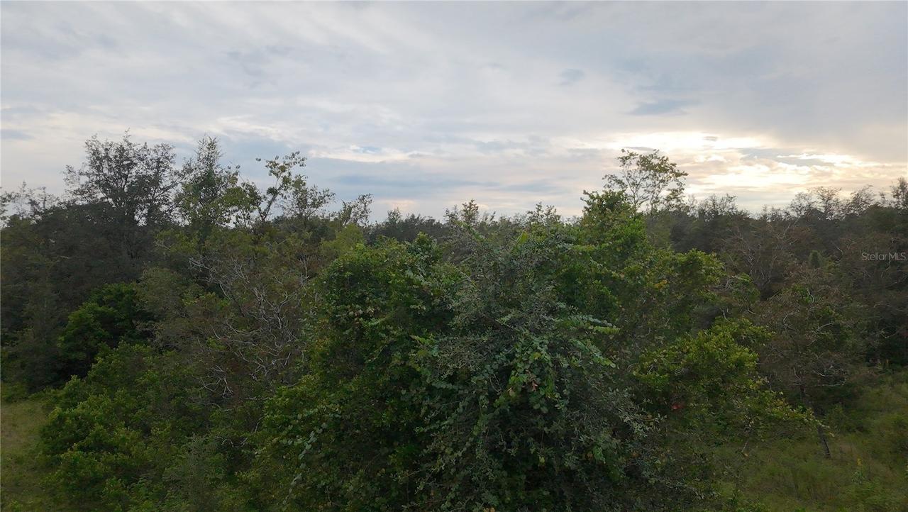 7388 N Manville Rd., Citrus Springs, FL 34434