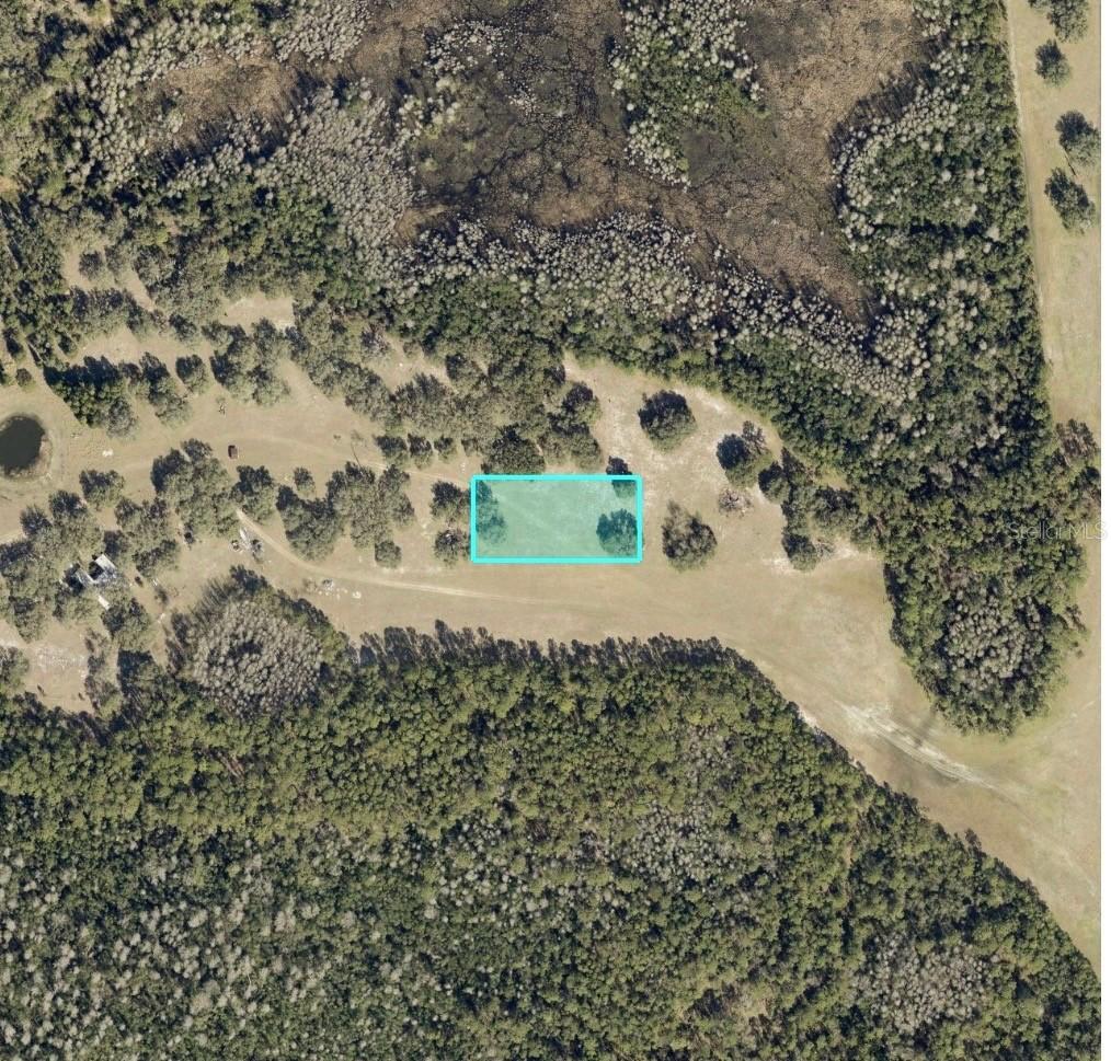Commonwealth Ave., Polk City, FL 33868