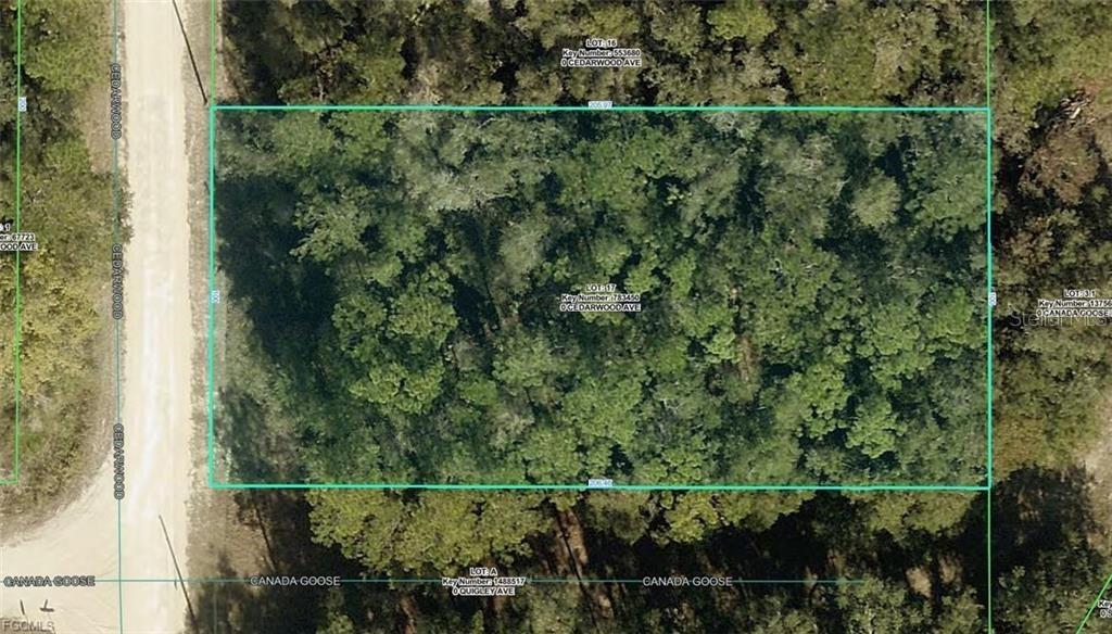R01-221-17-3357-5520-0170 Cedarwood Ave., Weeki Wachee, FL 34614