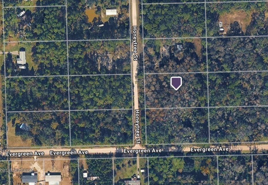 1823 Honeytree St., Bunnell, FL 32110