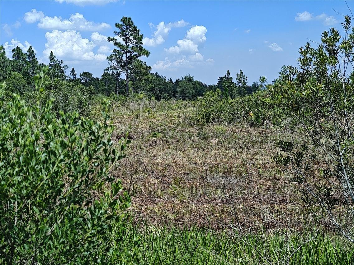 Shakedown St., St Cloud, FL 34773