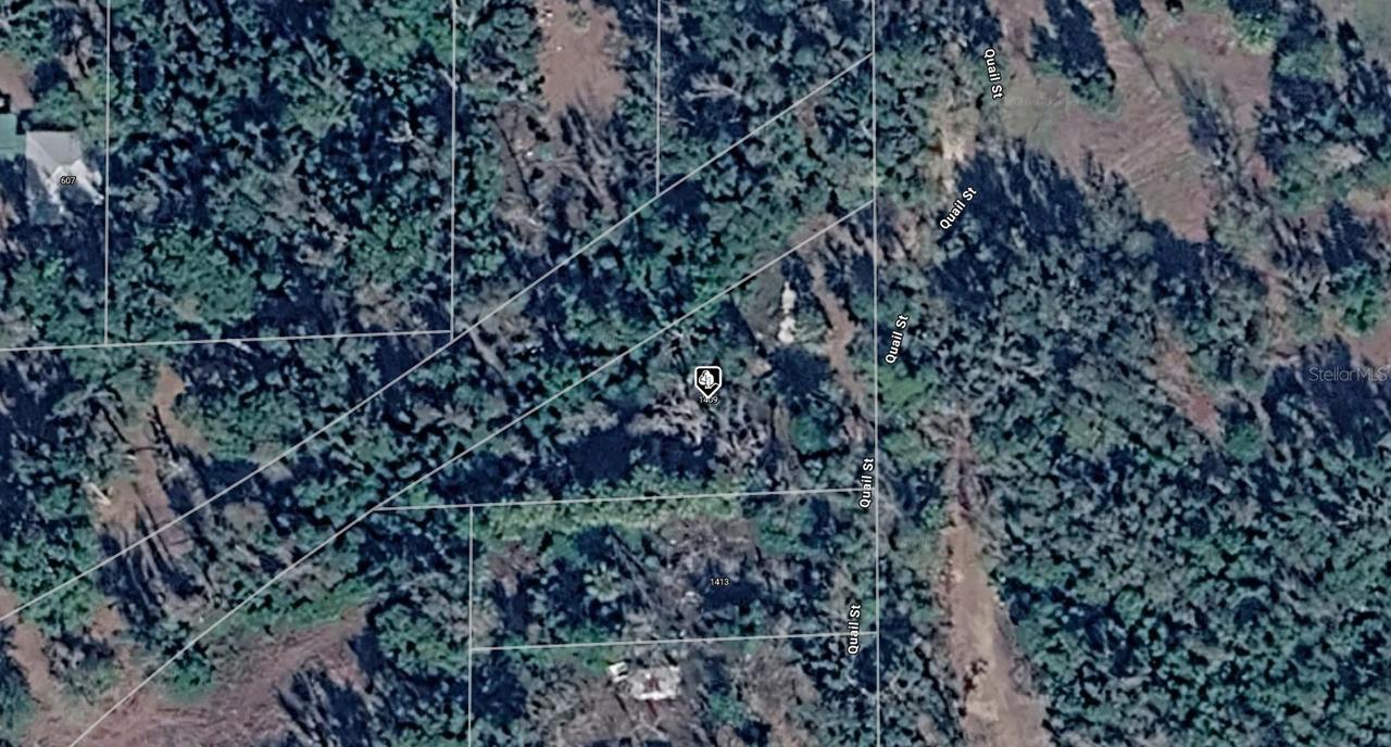 1409 Quail St., Perry, FL 32348