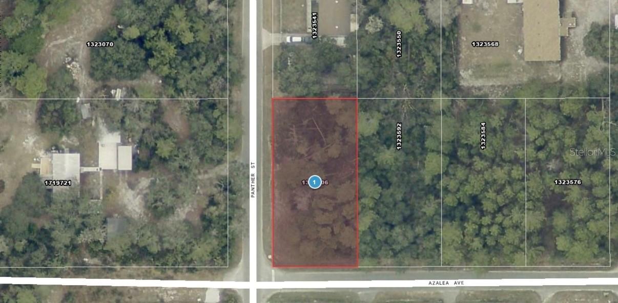 Azalea Ave., Paisley, FL 32767