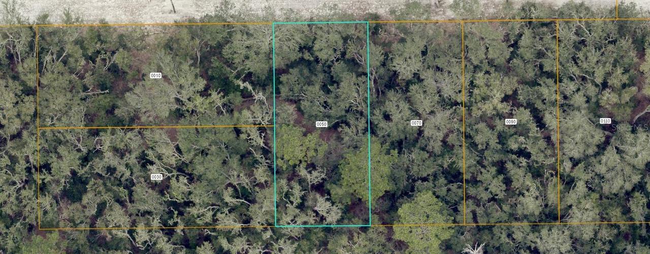 7032-04-06-0050 Highlands Ave., Orange City, FL 32763