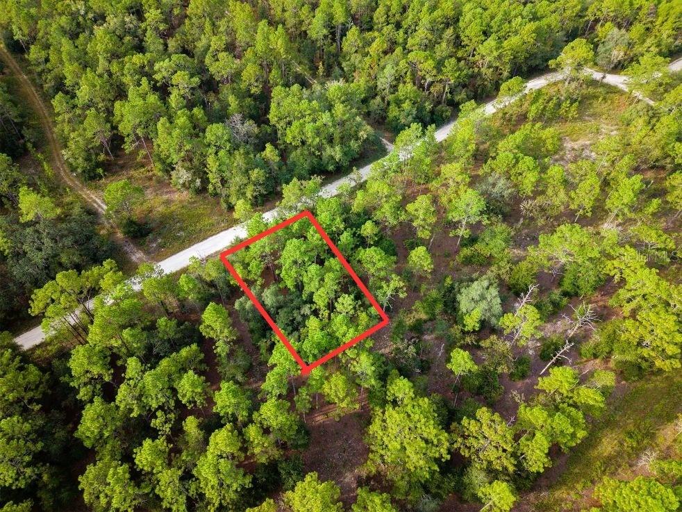 SW 13th St., Ocala, FL 34481