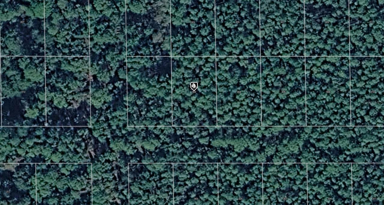 302 Siesta Dr., Georgetown, FL 32139