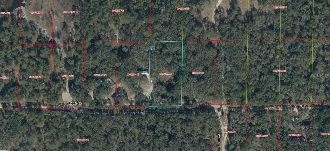 03161-176-00 NE 122nd Pl., Bronson, FL 32621