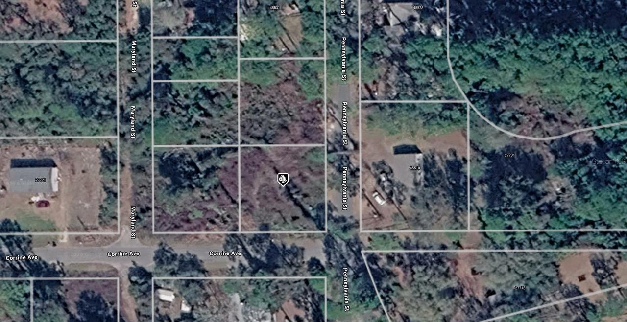 15-17-28-0200-014-01900 Pennsylvania St., Paisley, FL 32767