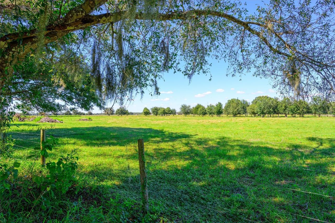 10650 Brendle Rd., Myakka City, FL 34251