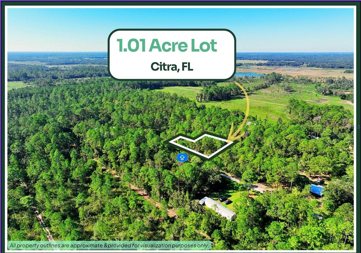 TBD NE 66th Ave., Citra, FL 32113