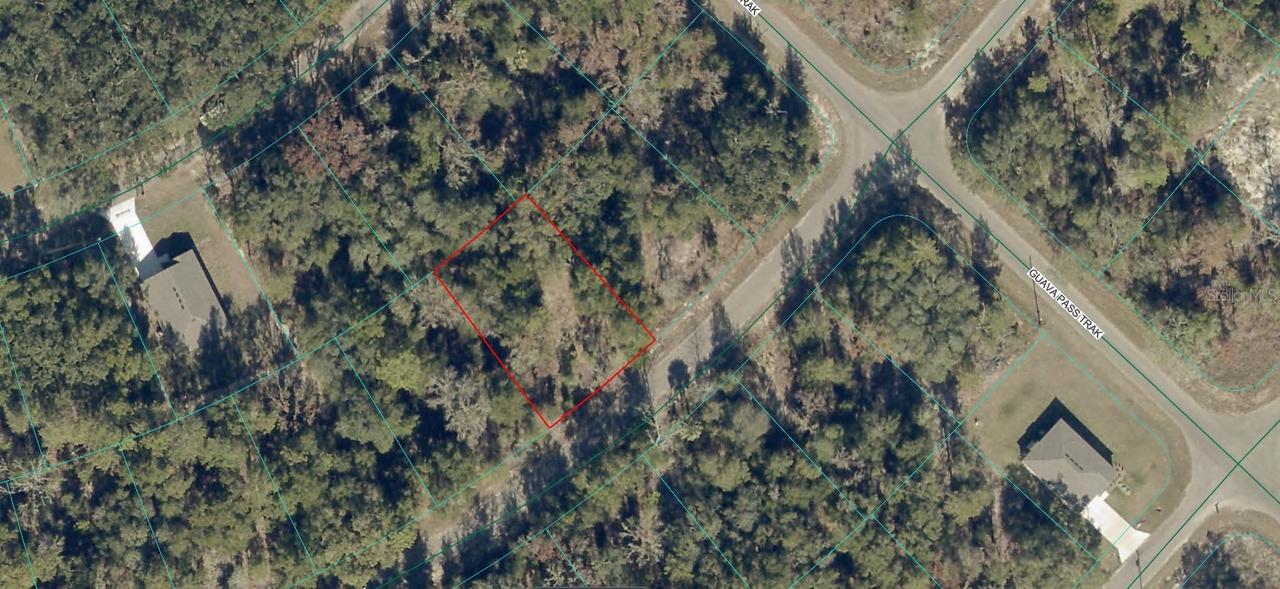 9038-1252-28 Guava Tr., Ocklawaha, FL 32179