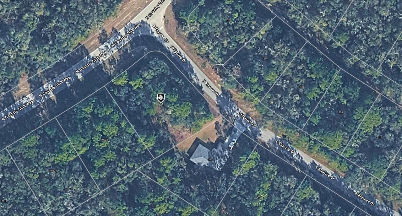 264 E Elgrove Dr., Citrus Springs, FL 34434