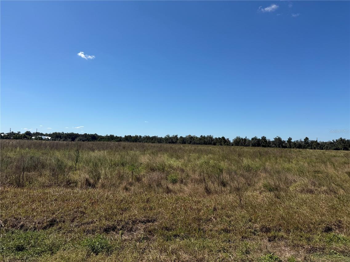 Himrod Rd., Bowling Green, FL 33834