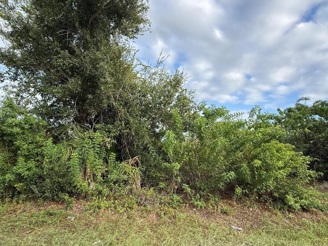 9236 Agate St., Port Charlotte, FL 33981