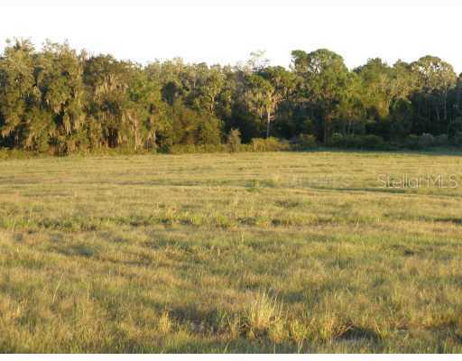 6084 Murphy Rd, Bartow, FL 33830