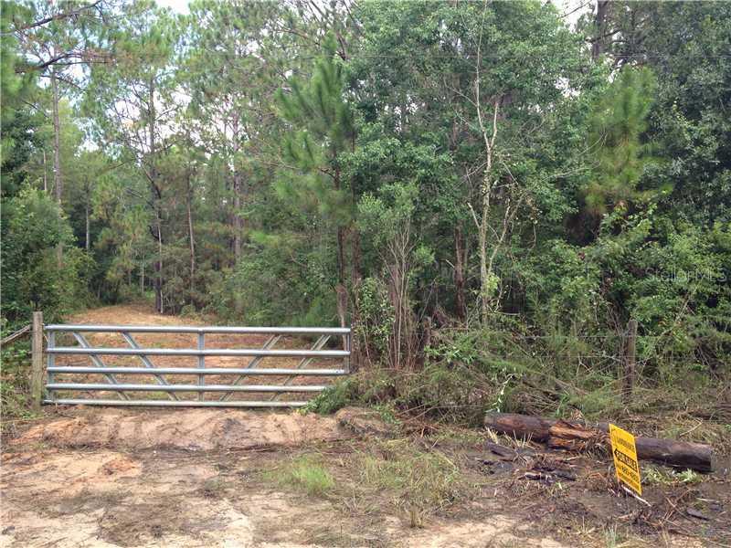 14 W Country World Dr., Davenport, FL 33897