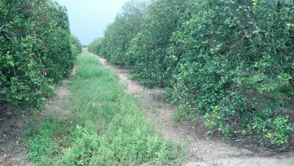 80 80 Foot Rd., Bartow, FL 33830