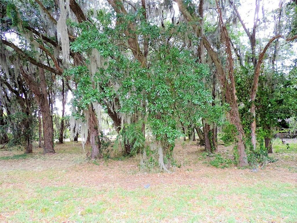 Verona Dr., Bartow, FL 33830