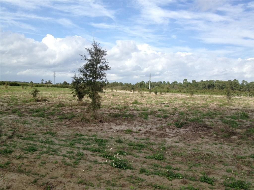 W Lake Wales Alturas Rd., Bartow, FL 33830