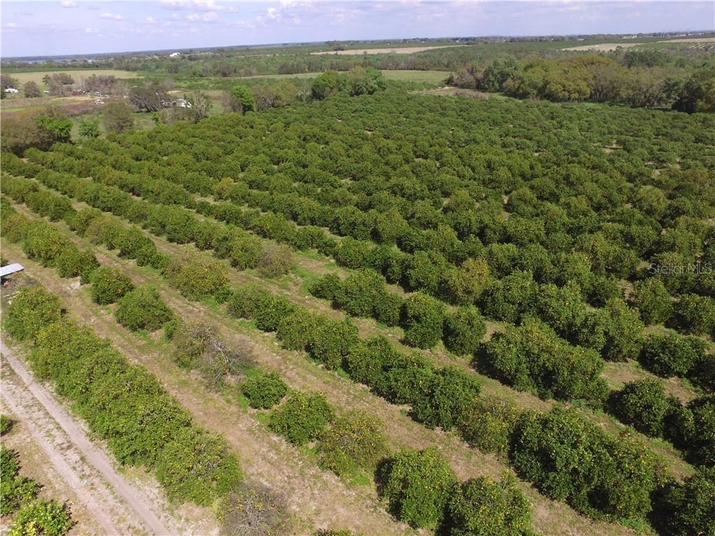 Reynolds Rd., Bartow, FL 33830