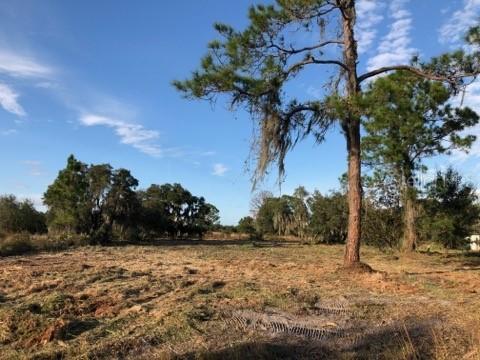 4530 Sugarfoot Ave., Lake Wales, FL 33859
