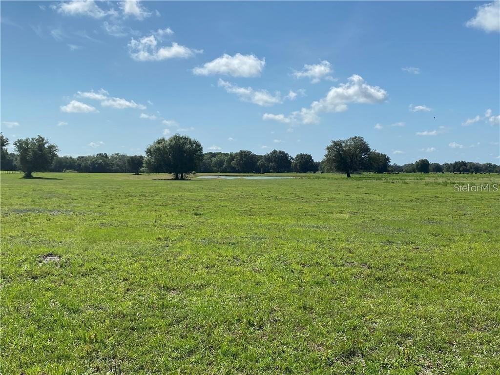 SW Co Road 769, Arcadia, FL 34269