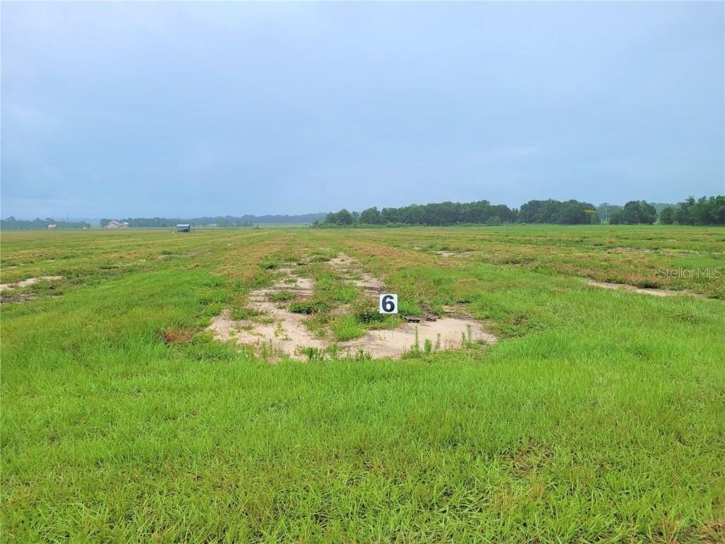 Angus Rd. #Lot 6, Bartow, FL 33830