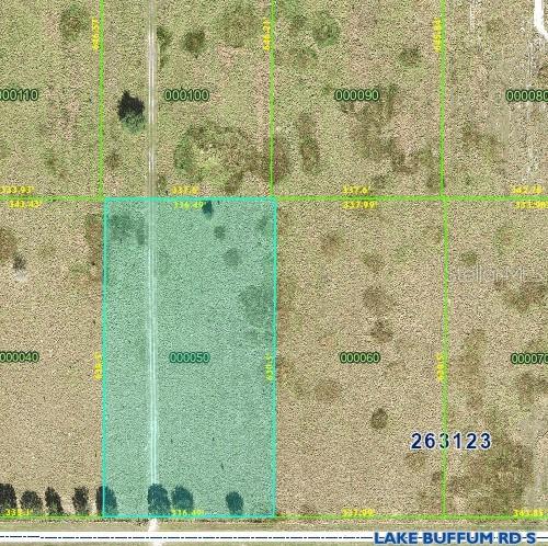 LOT 5 Lake Buffum Rd., Fort Meade, FL 33841