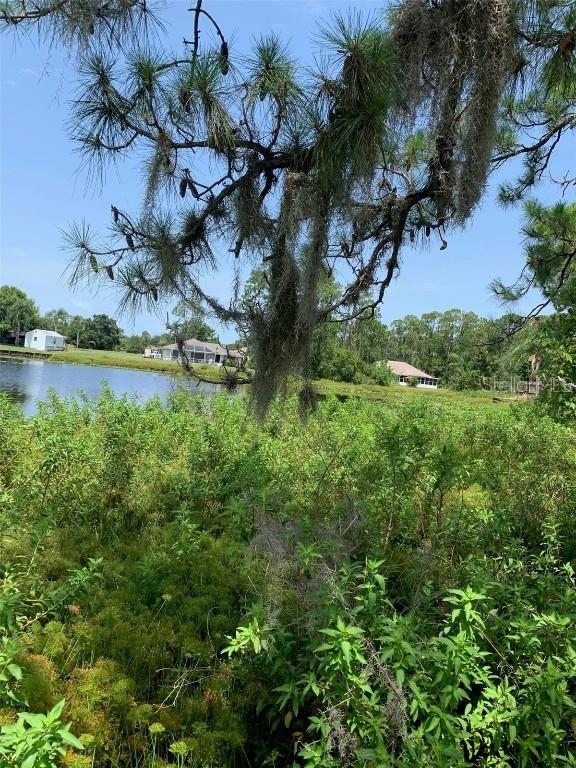 1709 Stream Ave., Sebring, FL 33875