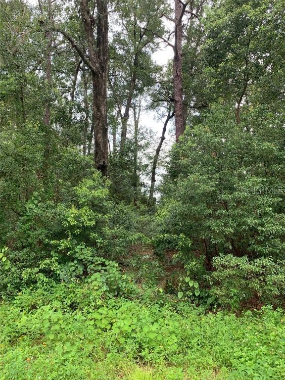 Thornhill Dr., Sorrento, FL 32776