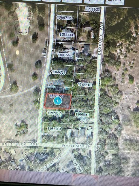Prestwick Ave., Sorrento, FL 32776