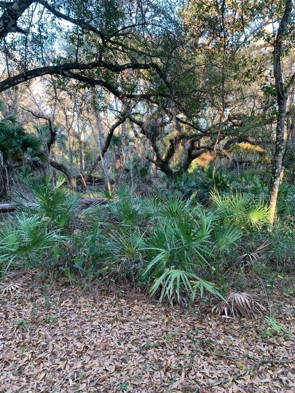 49 Fenny Bosk Tr., Venus, FL 33960