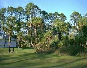 21 Elmore Terrace, North Port, FL 34287