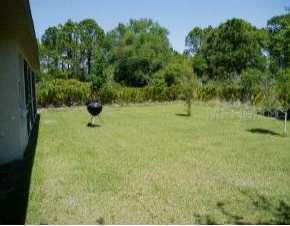 2844 Adele St, North Port, FL 34287