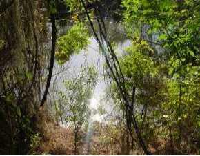 260 Barger Dr., Port Charlotte, FL 33954