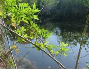 252 Barger Dr., Port Charlotte, FL 33954