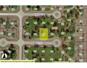 Betty Ct, Rotonda West, FL 33947